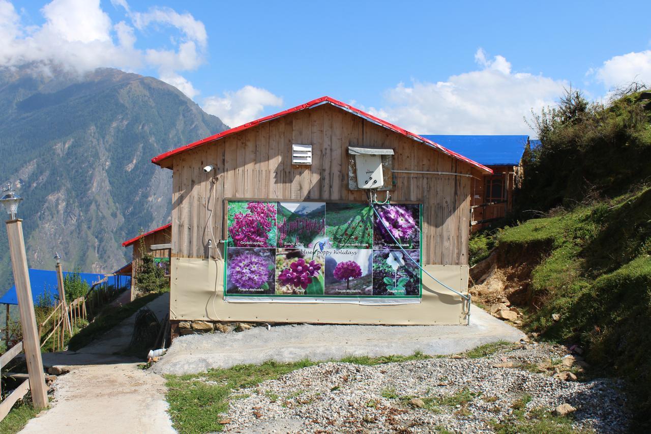 Blue Poppy Resorts Joshīmath Extérieur photo